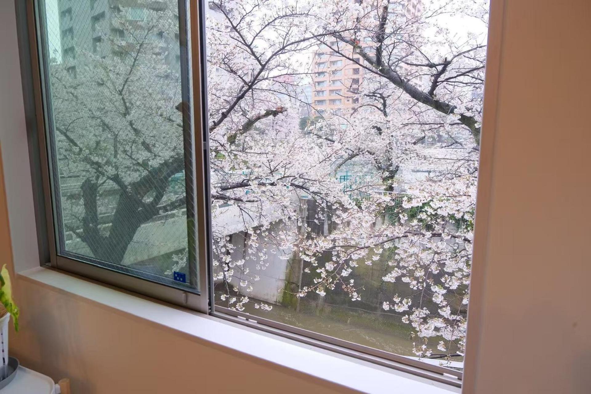 Aparthotel Waseda House *